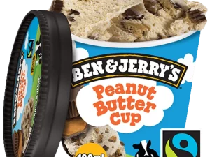 Ben & Jerry's Peanut Butter Cup 100ml