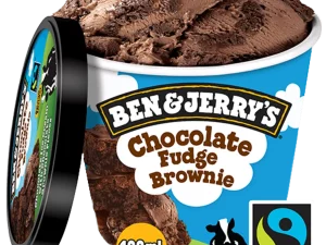 Ben & Jerry's Chocolate Fudge Brownie 100ml