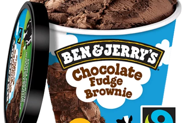 Ben & Jerry's Chocolate Fudge Brownie 100ml